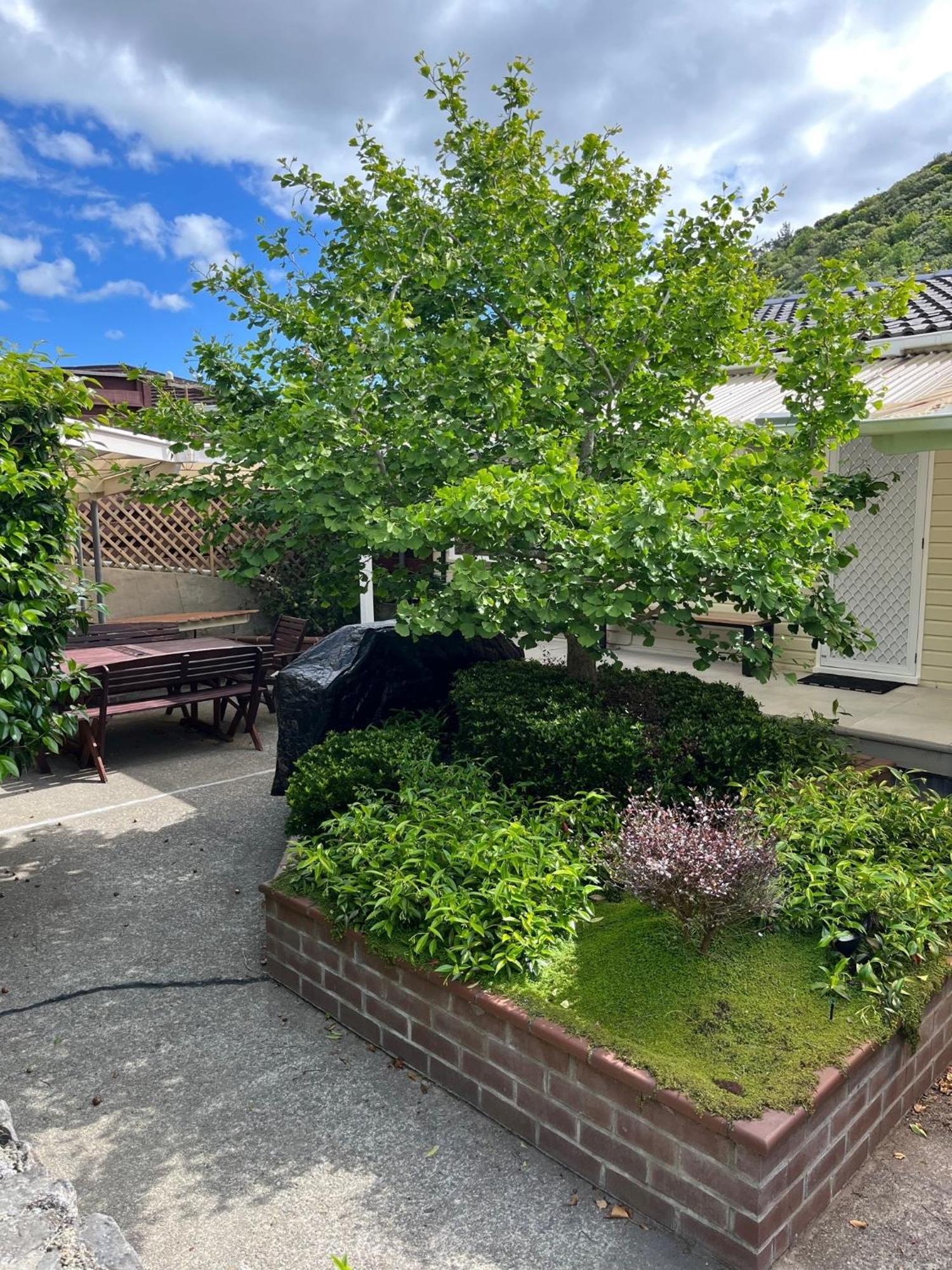 Retro 4 Bedroom Home, Warm And Welcoming, Quiet Location Porirua Εξωτερικό φωτογραφία